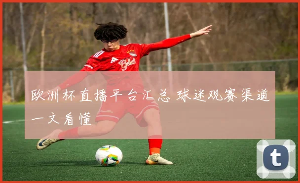 欧洲杯直播平台汇总 球迷观赛渠道一文看懂