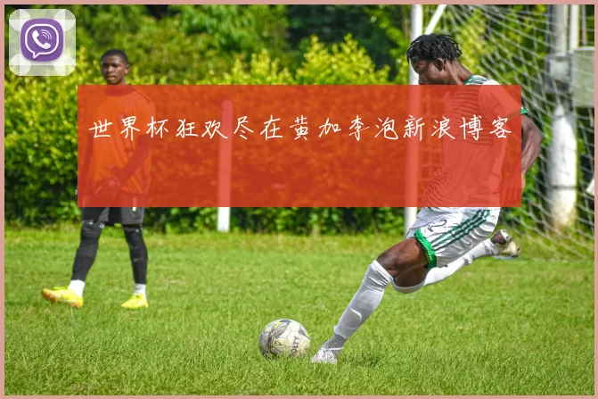 世界杯狂欢尽在黄加李泡新浪博客