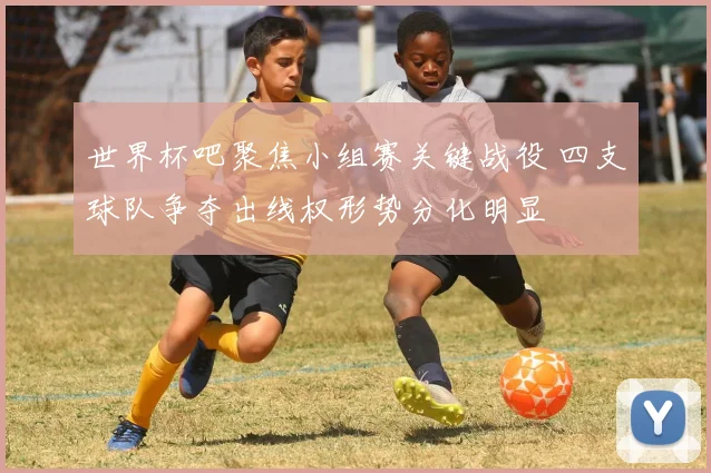 世界杯吧聚焦小组赛关键战役 四支球队争夺出线权形势分化明显