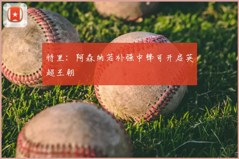 特里:阿森纳若补强中锋可开启英超王朝
