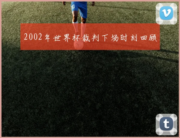 2002年世界杯裁判下场时刻回顾