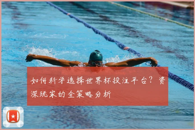如何科学选择世界杯投注平台?资深玩家的全策略分析