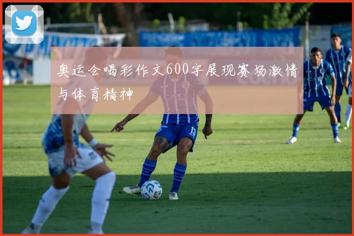 奥运会喝彩作文600字展现赛场激情与体育精神