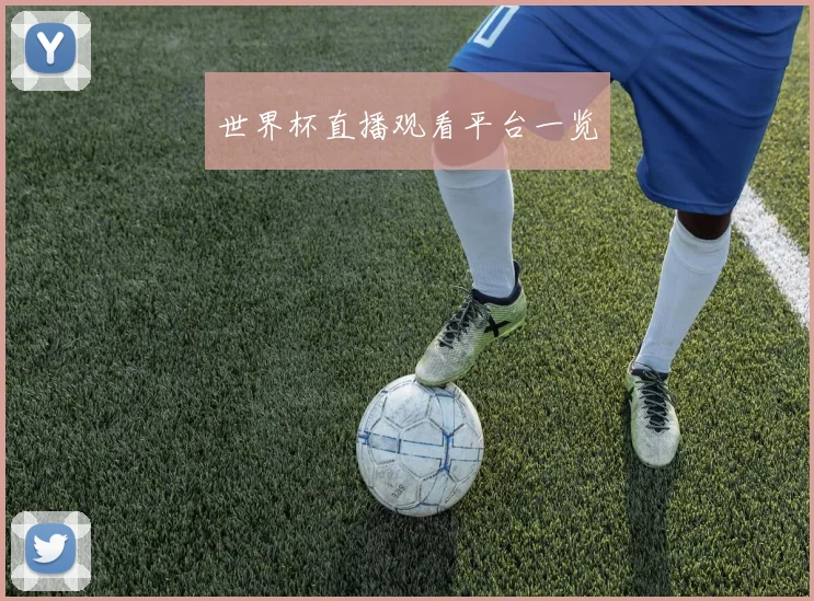 世界杯直播观看平台一览