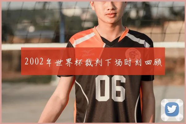 2002年世界杯裁判下场时刻回顾